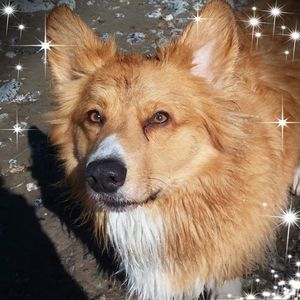 Meet your Posher, Jayna